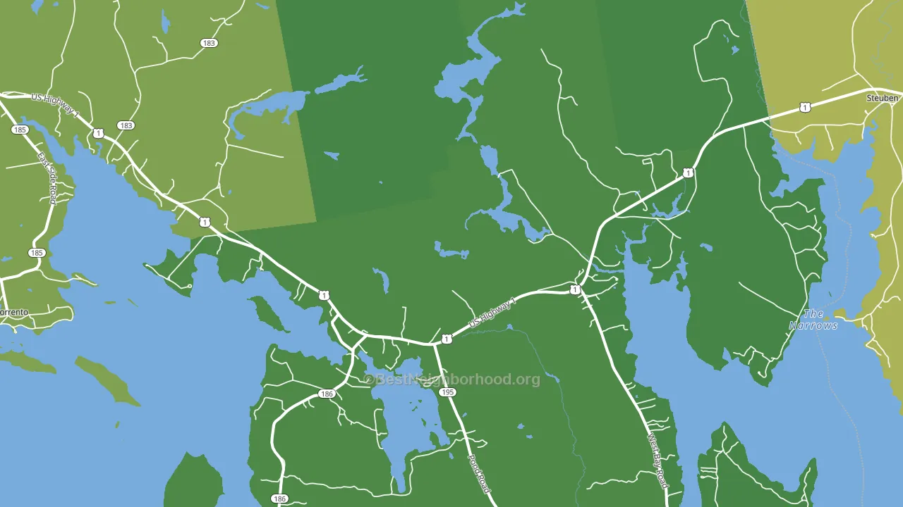 Gouldsboro, ME block-group voter-turnout map
