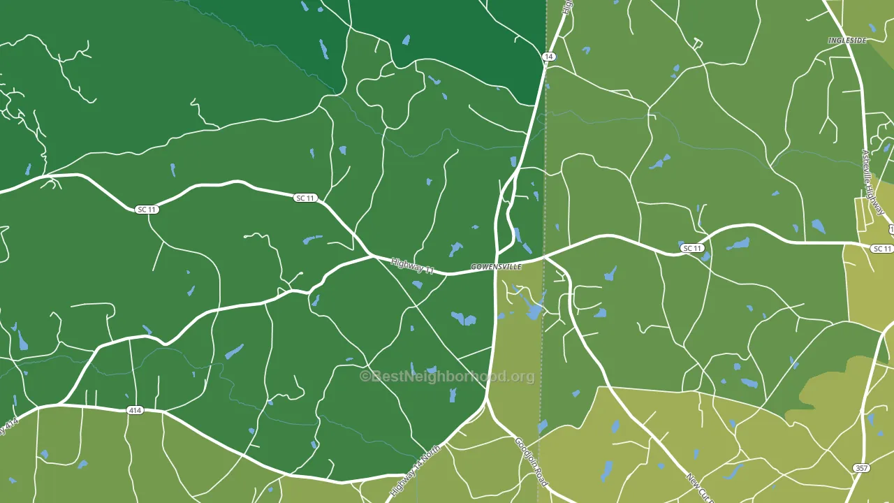 Gowensville, SC block-group voter-turnout map