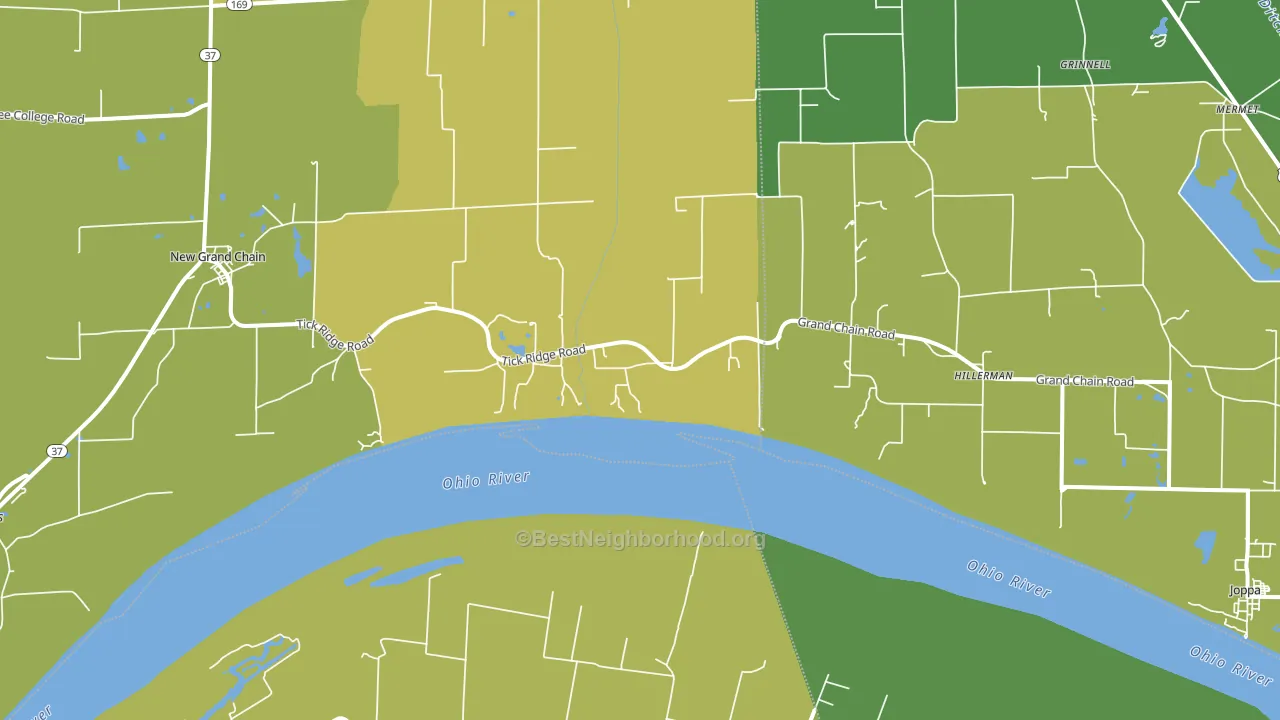 Grand Chain, IL block-group voter-turnout map