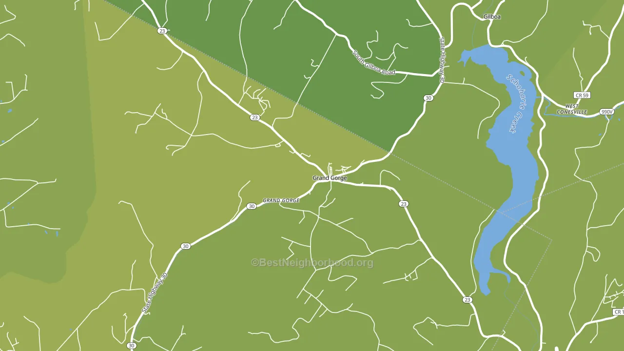 Grand Gorge, NY block-group voter-turnout map