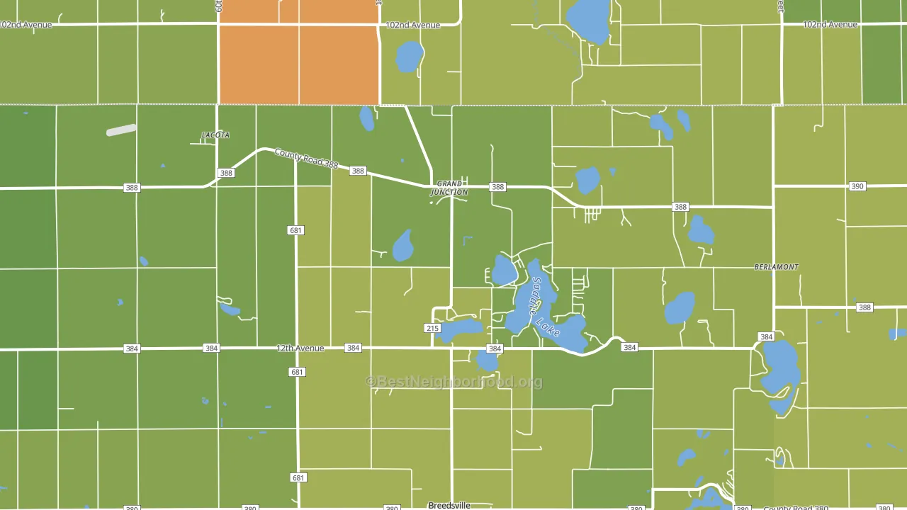Grand Junction, MI block-group voter-turnout map