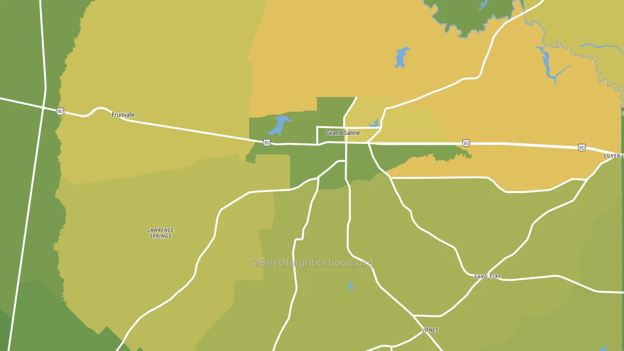 Grand Saline, TX block-group voter-turnout map