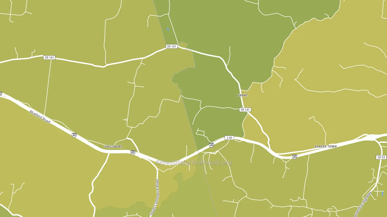 Grant, TN block-group voter-turnout map