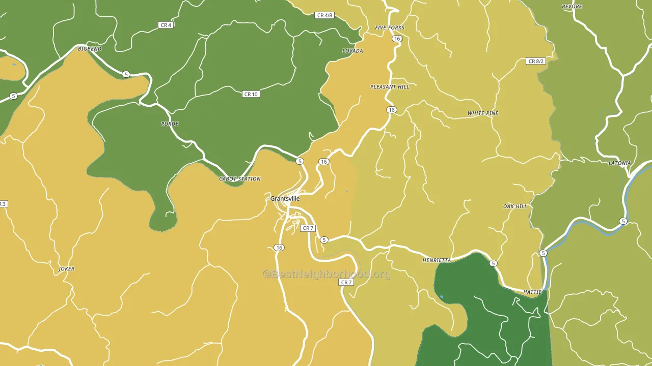 Grantsville, WV block-group voter-turnout map