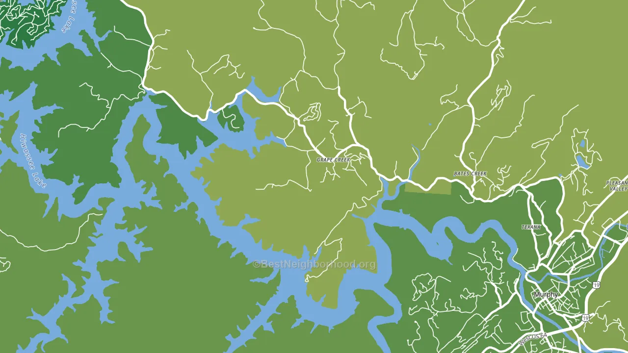 Grape Creek, NC block-group voter-turnout map