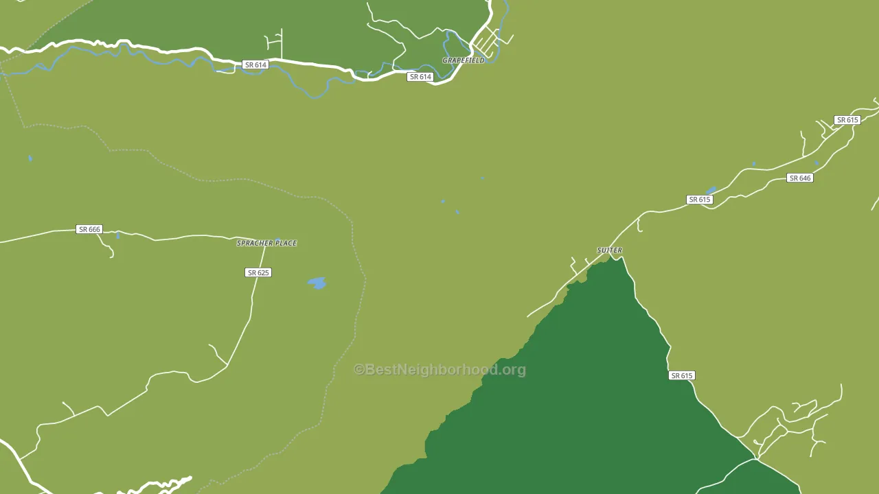 Grapefield, VA block-group voter-turnout map