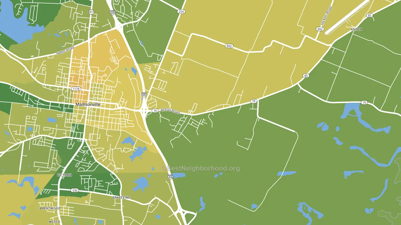 Grapevine, KY block-group voter-turnout map