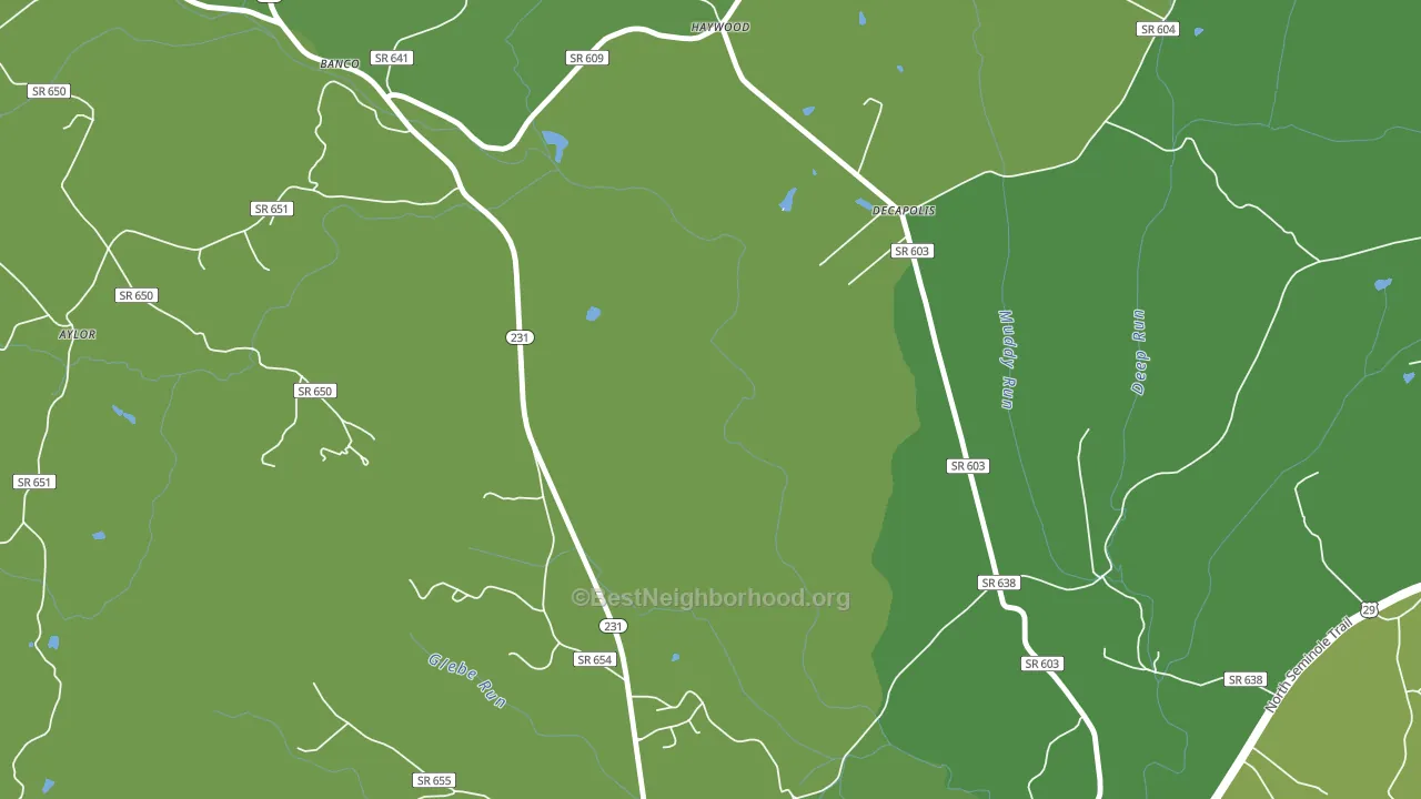 Graves Mill, VA block-group voter-turnout map