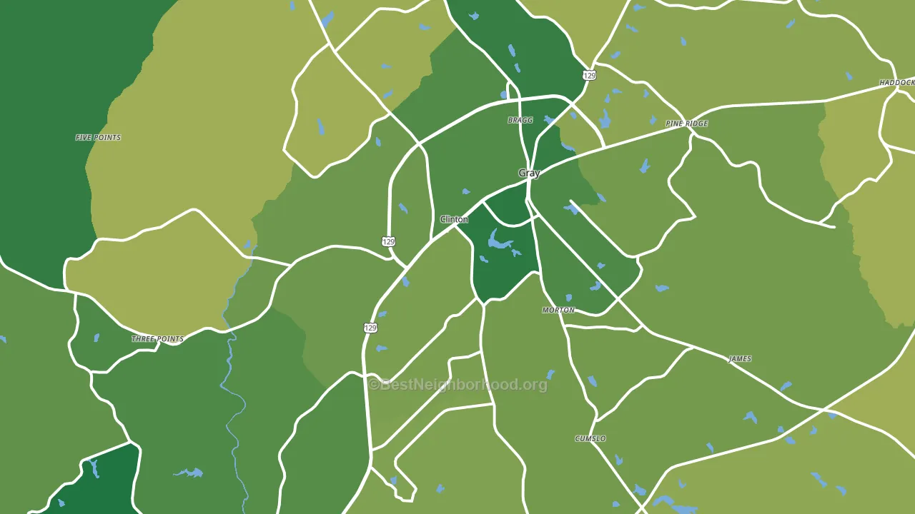 Gray, GA block-group voter-turnout map