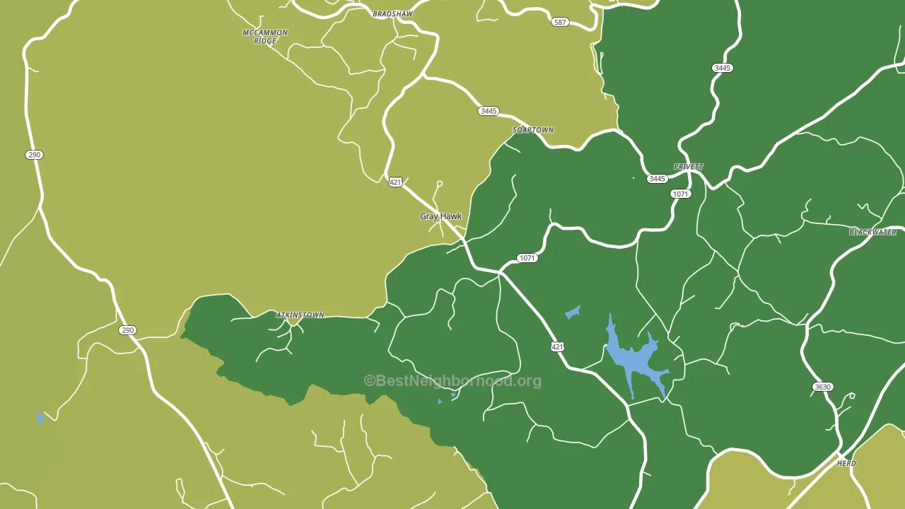 Gray Hawk, KY block-group voter-turnout map