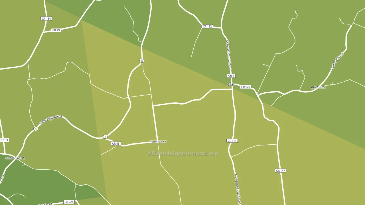 Gray, NY block-group voter-turnout map