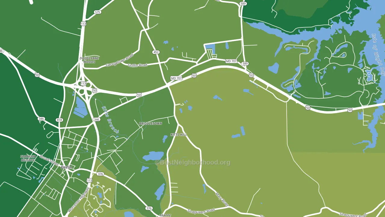 Grays Corner, MD block-group voter-turnout map