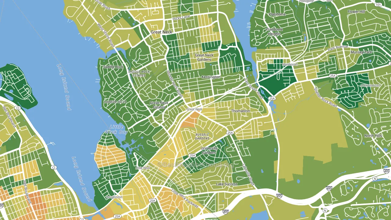 Great Neck Plaza, NY block-group voter-turnout map