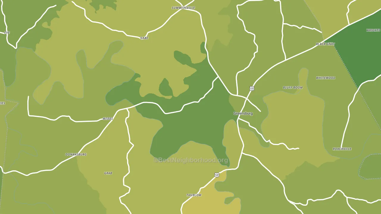 Green County, KY block-group voter-turnout map