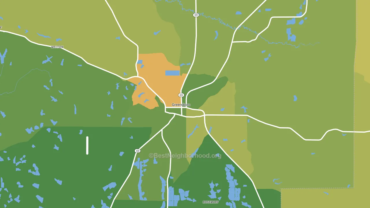 Greensboro, AL block-group voter-turnout map