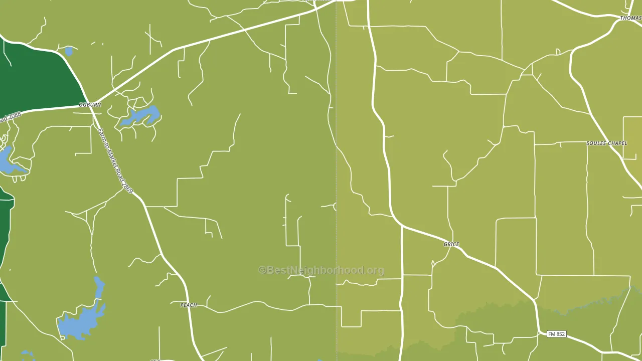 Grice, TX block-group voter-turnout map