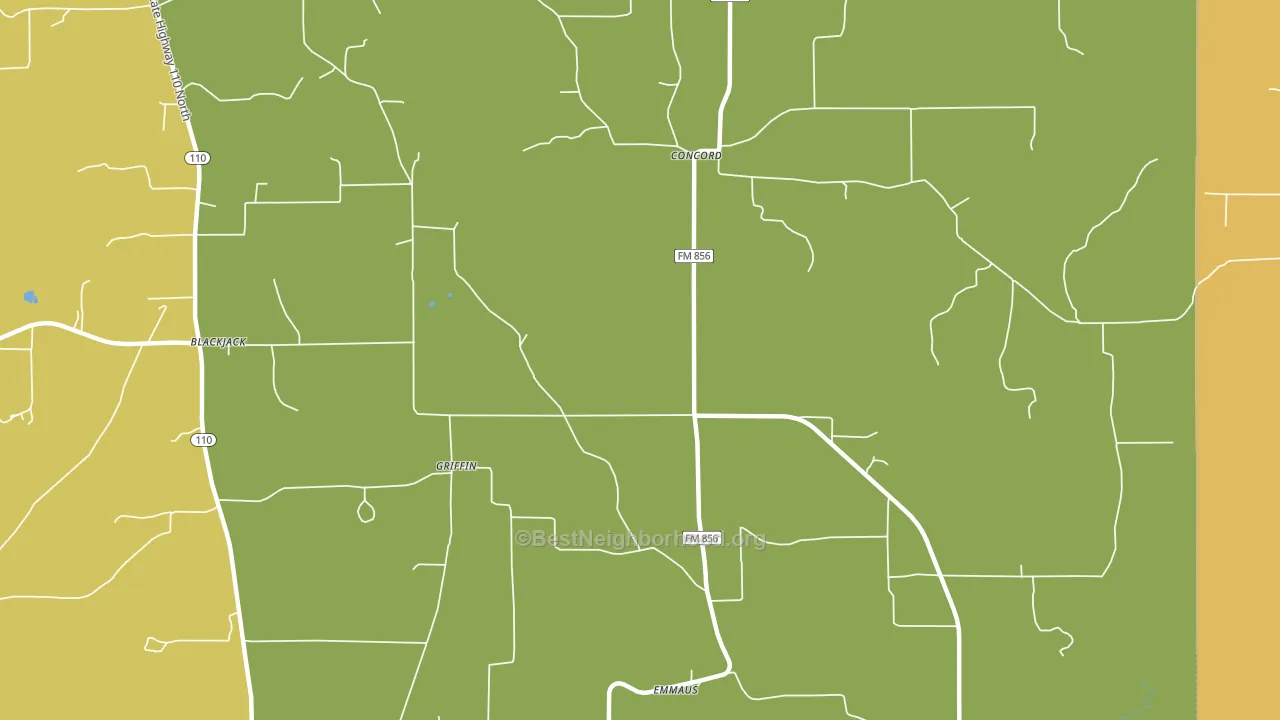 Griffin, TX block-group voter-turnout map