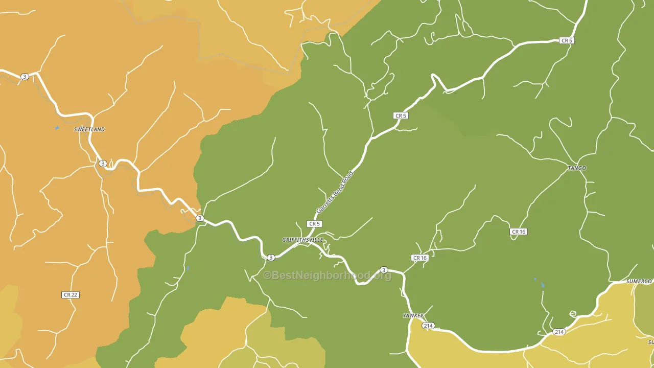 Griffithsville, WV block-group voter-turnout map