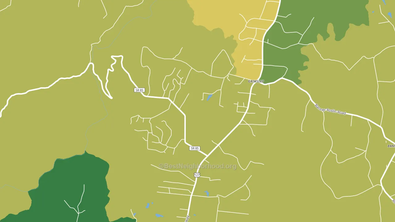 Grimsley, TN block-group voter-turnout map