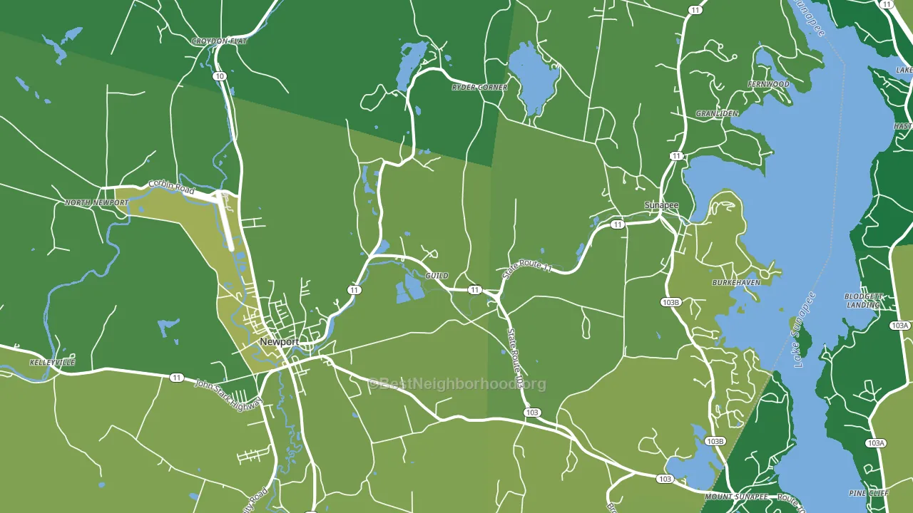 Guild, NH block-group voter-turnout map