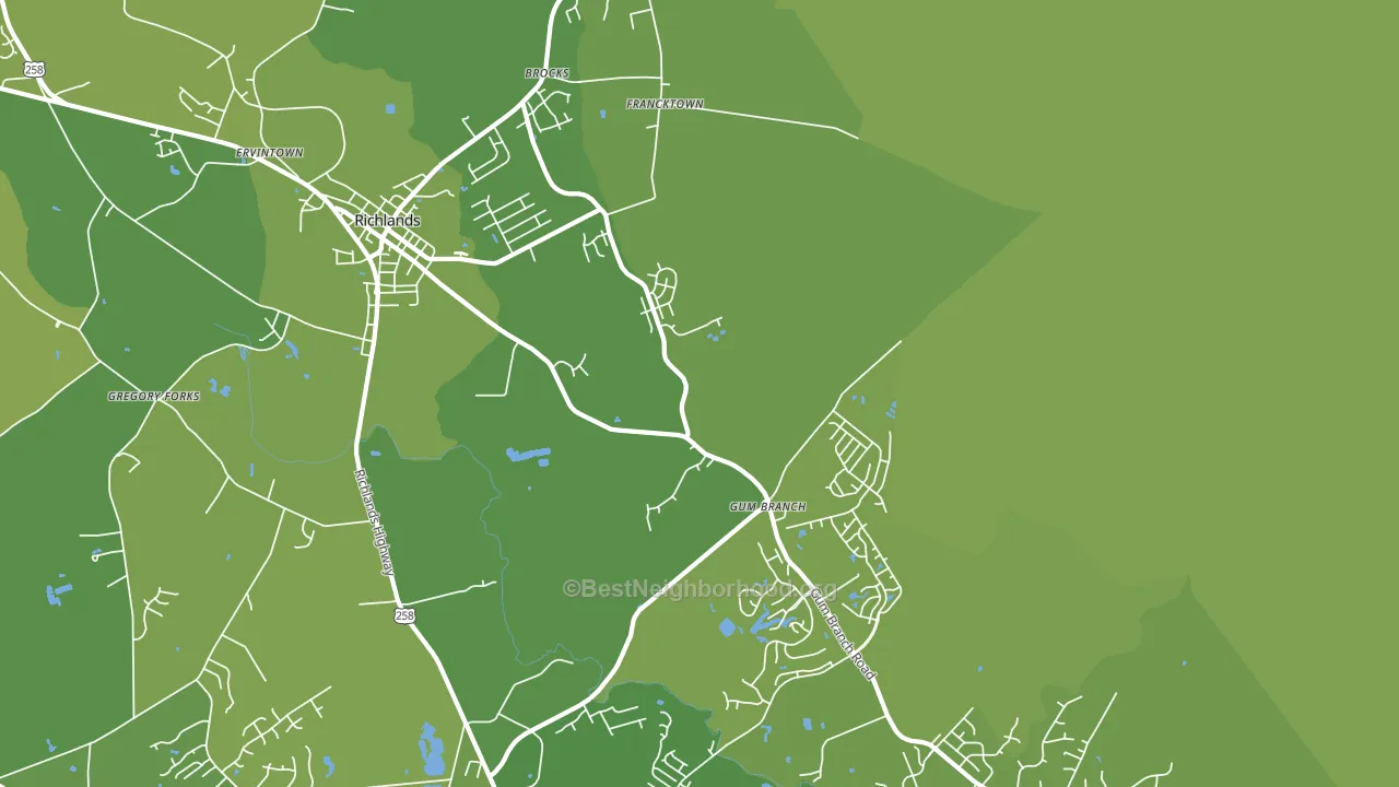 Gum Branch, NC block-group voter-turnout map