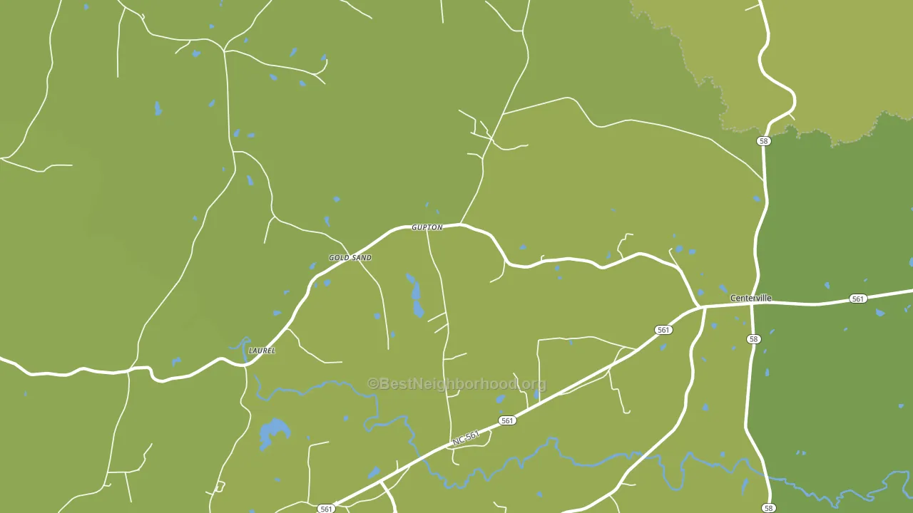 Gupton, NC block-group voter-turnout map