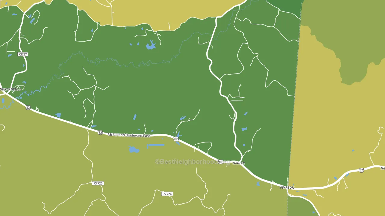 Hagler, AL block-group voter-turnout map