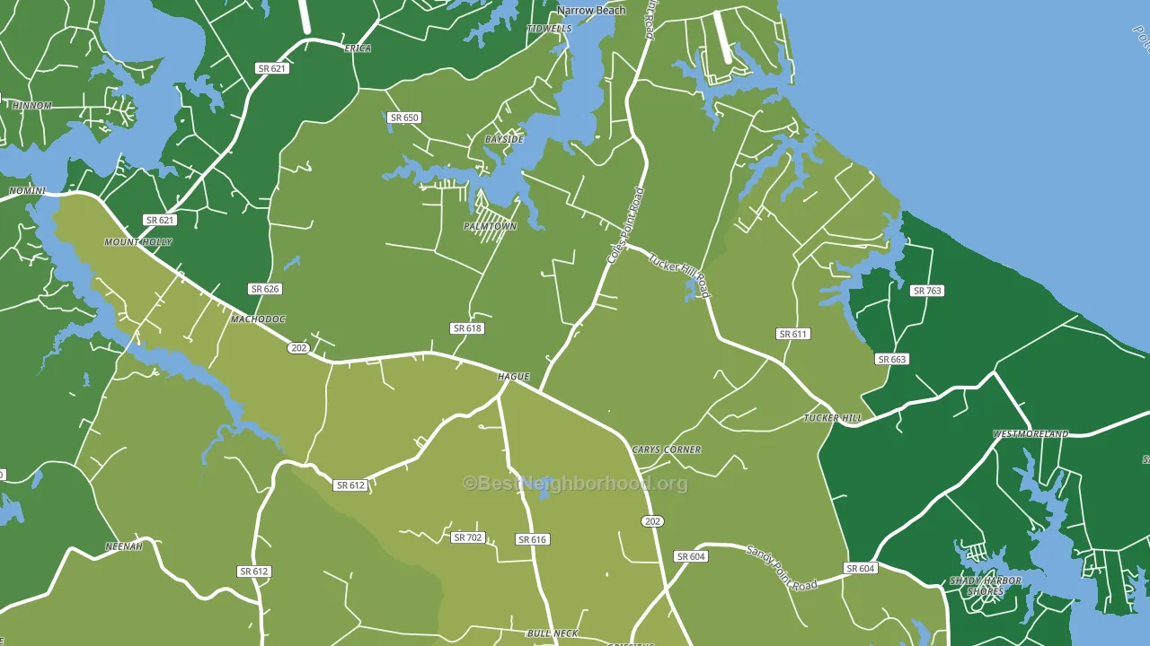 Hague, VA block-group voter-turnout map