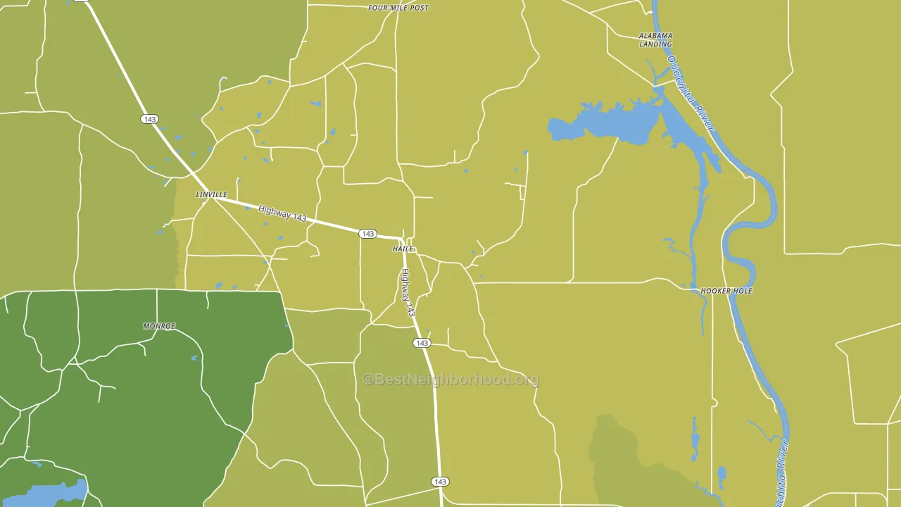 Haile, LA block-group voter-turnout map