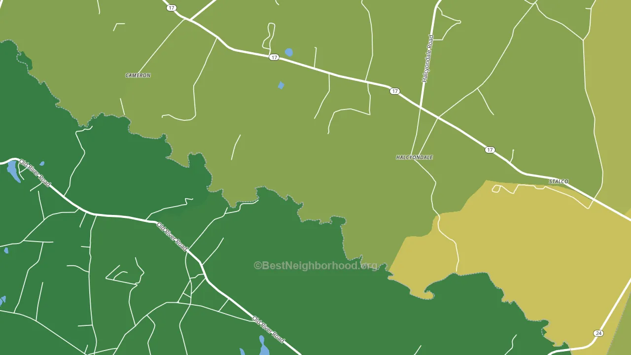 Halcyondale, GA block-group voter-turnout map