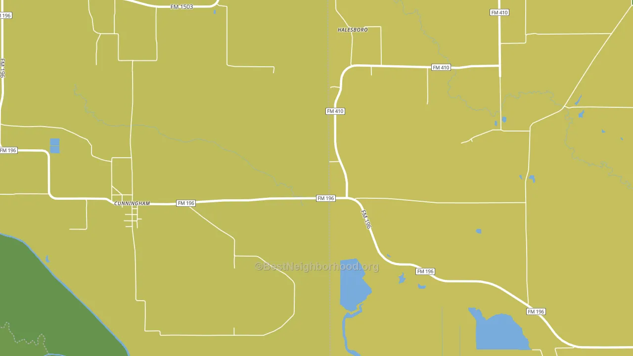 Halesboro, TX block-group voter-turnout map