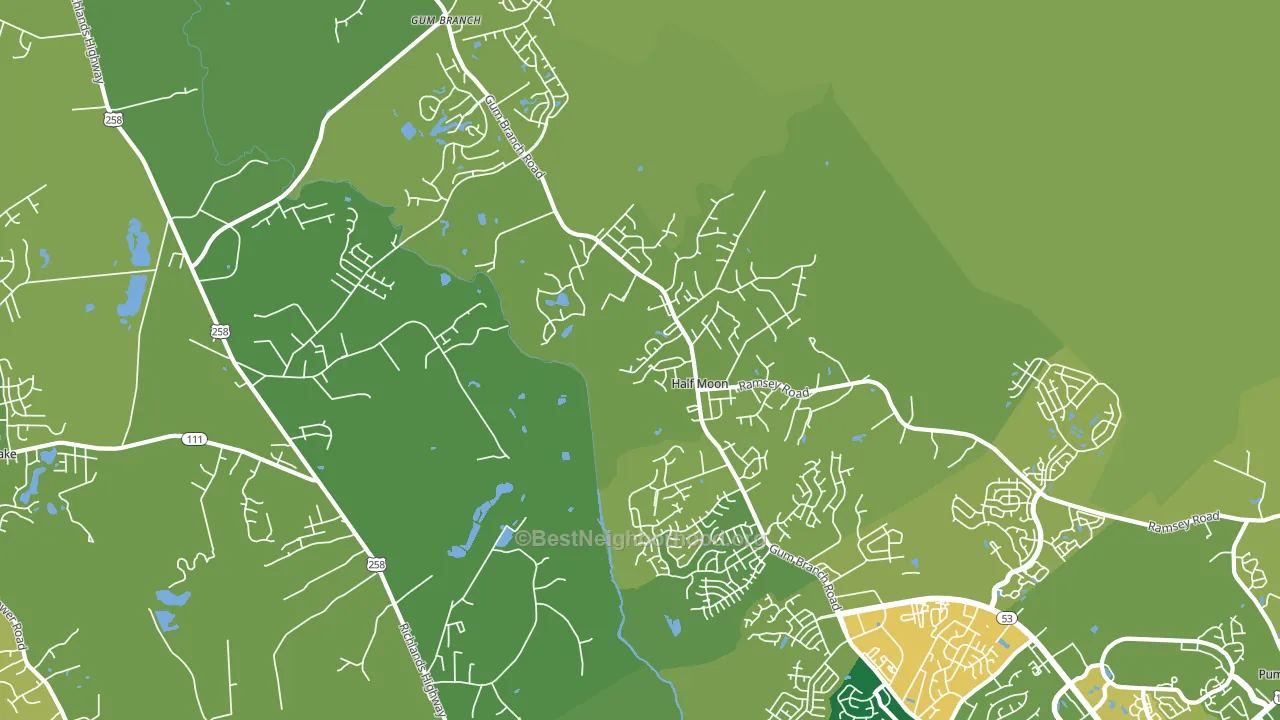 Half Moon, NC block-group voter-turnout map