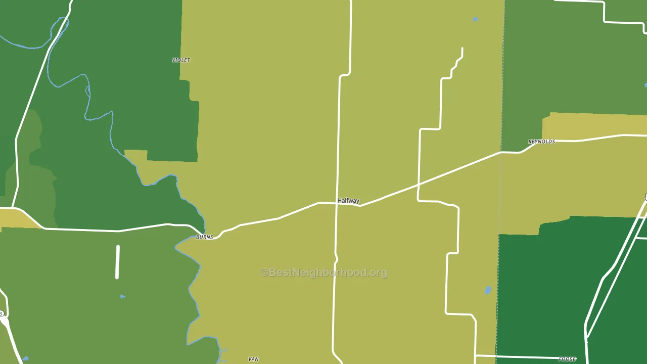 Halfway, MO block-group voter-turnout map