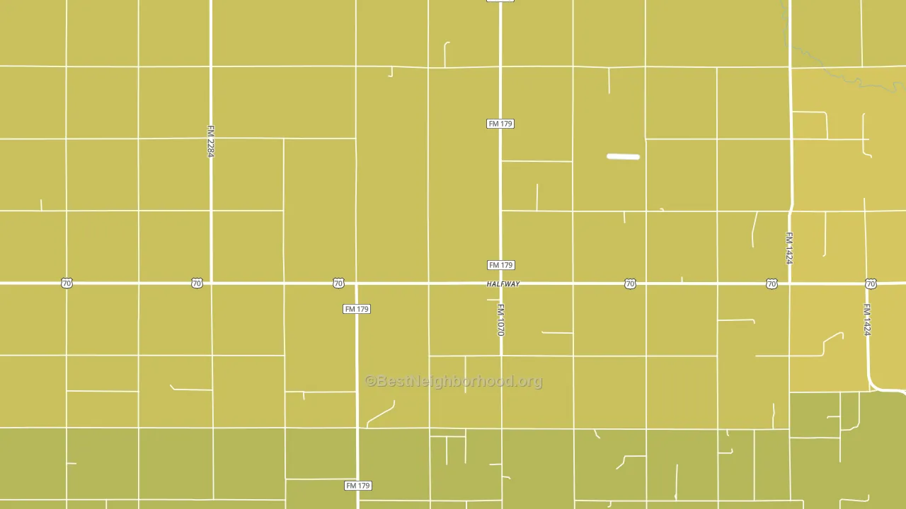 Halfway, TX block-group voter-turnout map
