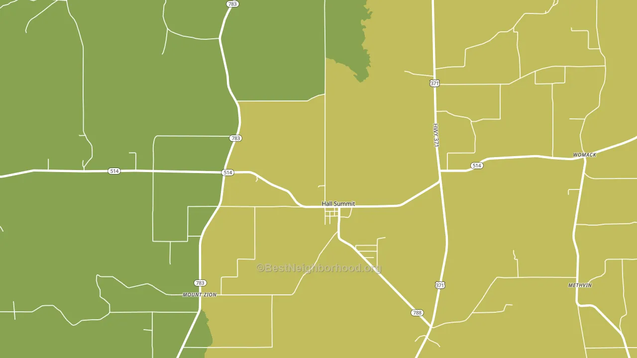 Hall Summit, LA block-group voter-turnout map