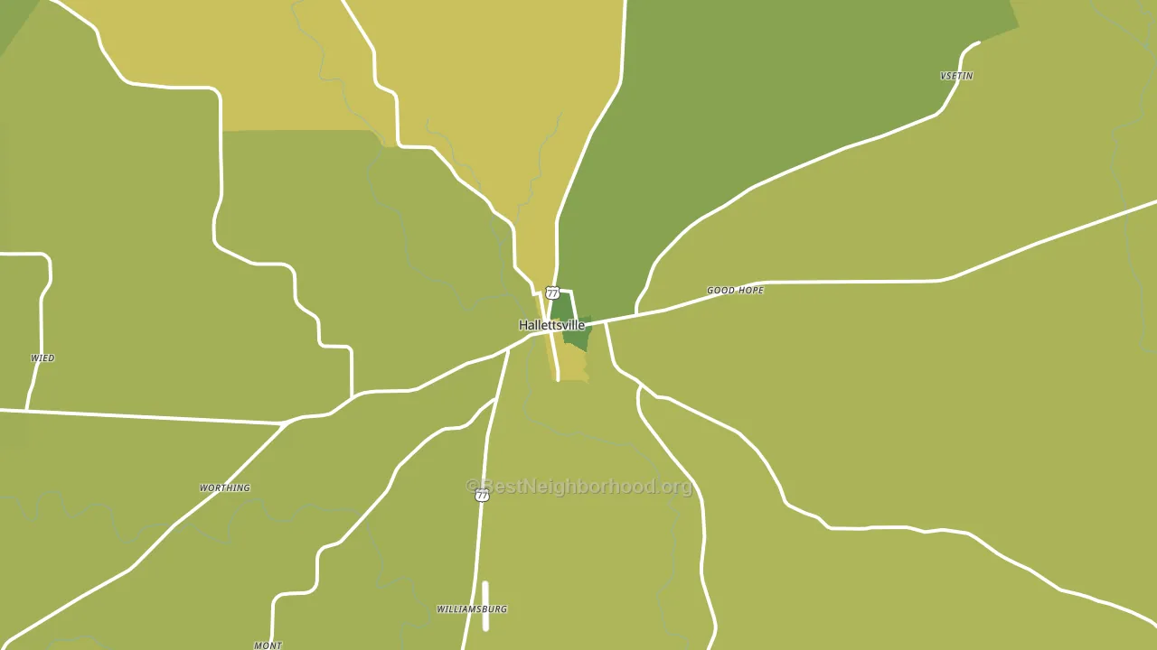 Hallettsville, TX block-group voter-turnout map