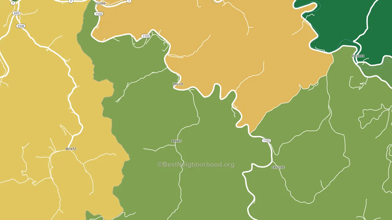 Hallie, KY block-group voter-turnout map