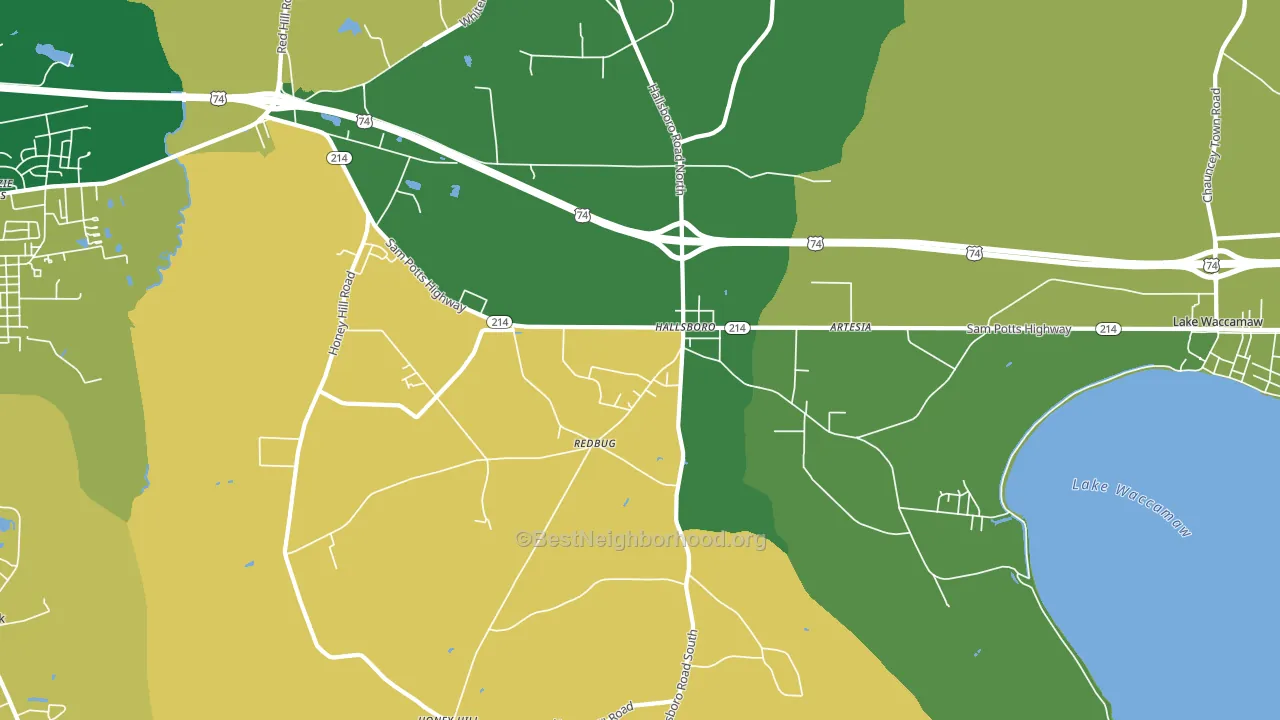 Hallsboro, NC block-group voter-turnout map
