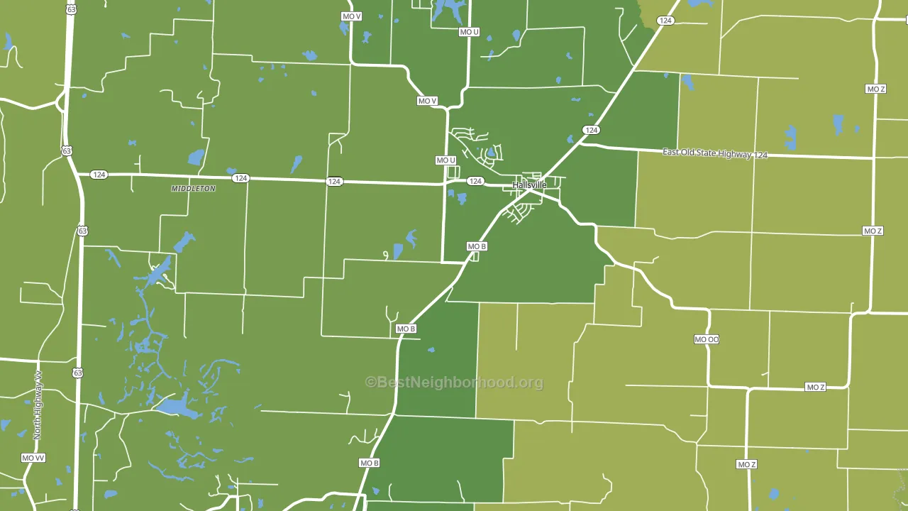 Hallsville, MO block-group voter-turnout map