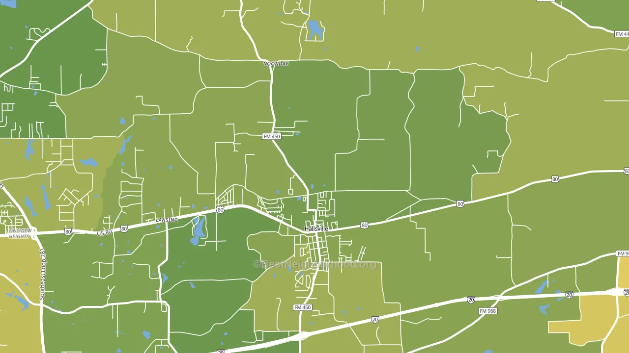 Hallsville, TX block-group voter-turnout map