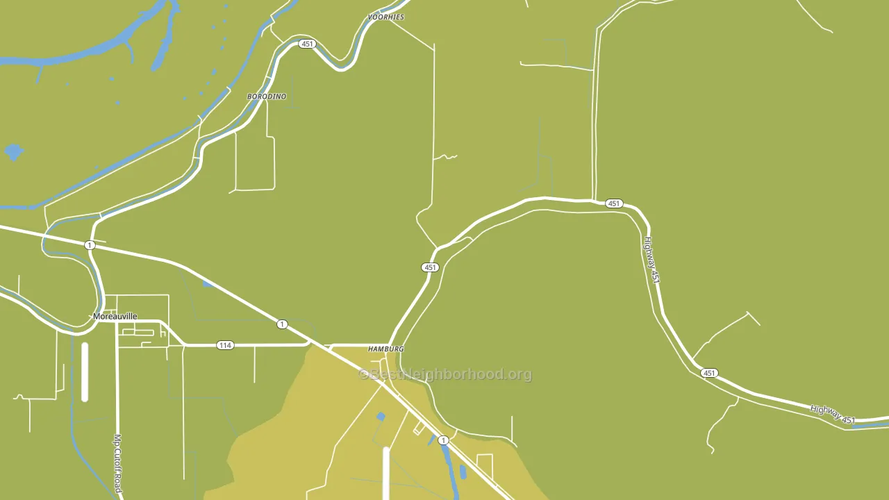Hamburg, LA block-group voter-turnout map