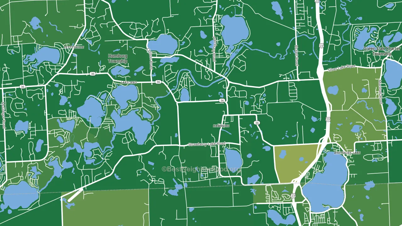 Hamburg, MI block-group voter-turnout map