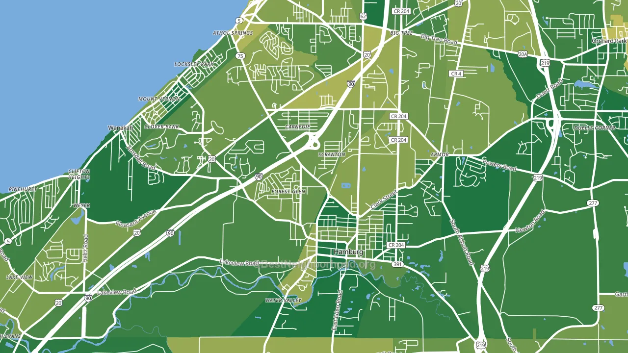 Hamburg, NY block-group voter-turnout map