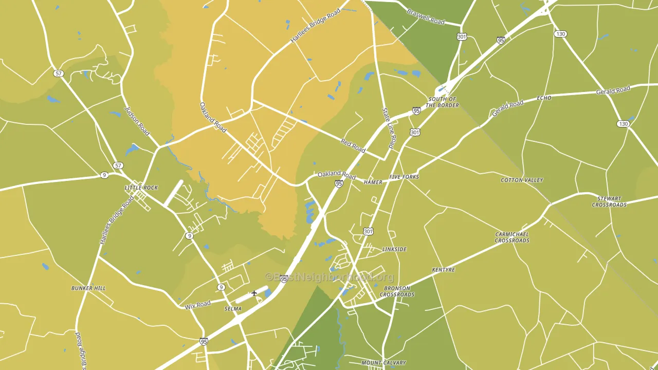 Hamer, SC block-group voter-turnout map