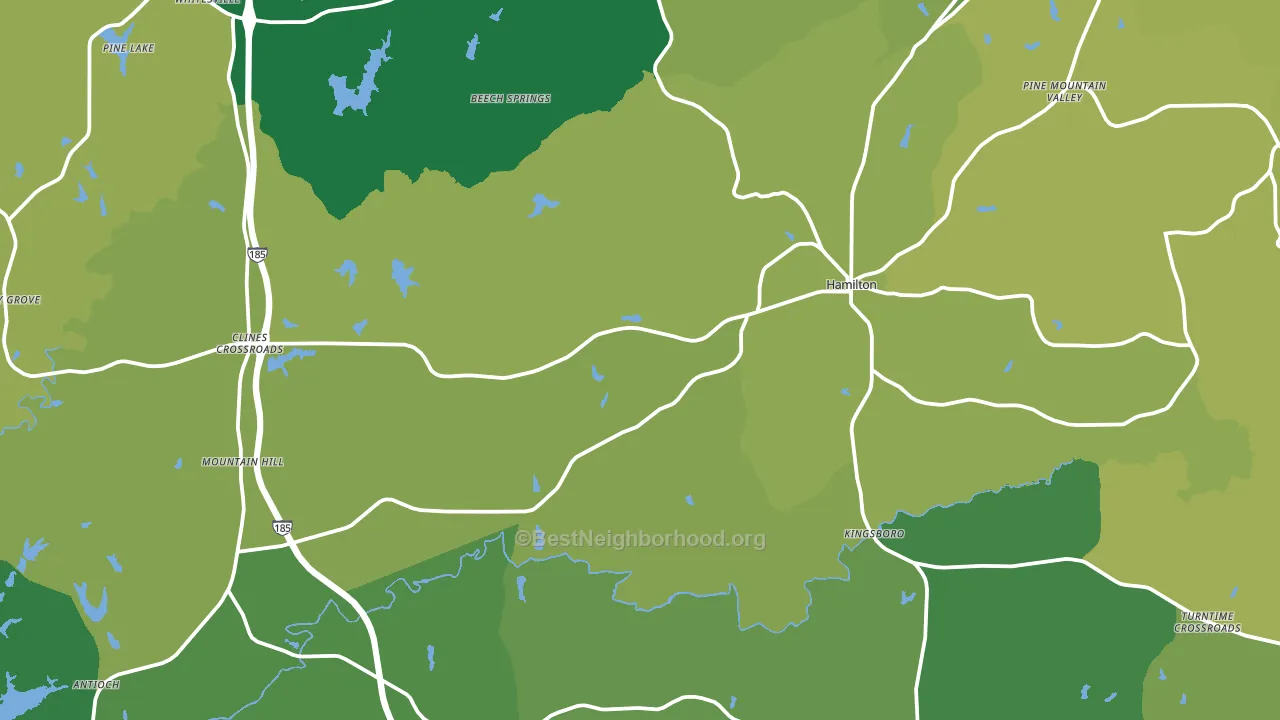 Hamilton, GA block-group voter-turnout map