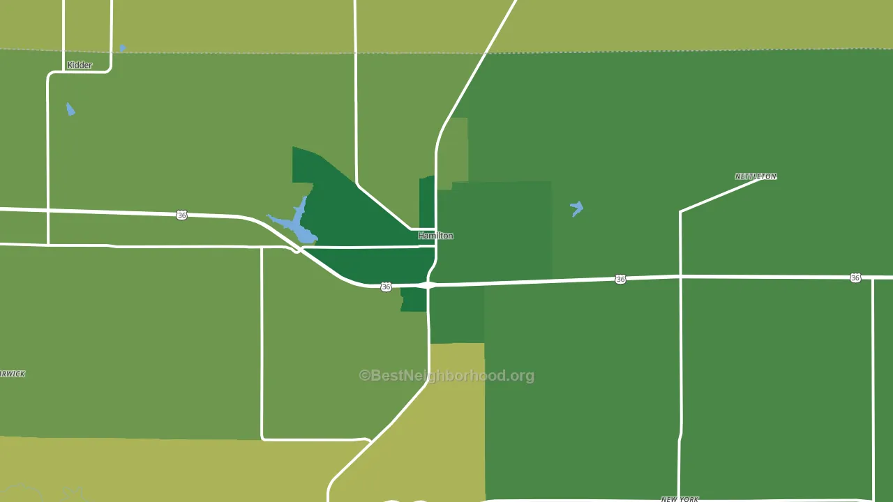 Hamilton, MO block-group voter-turnout map