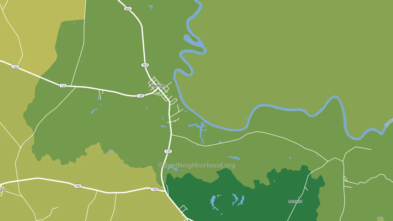 Hamilton, NC block-group voter-turnout map