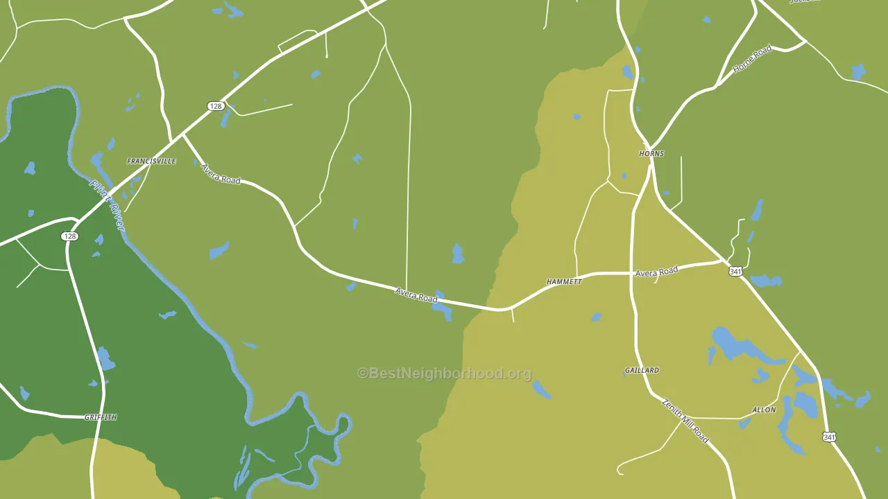 Hammett, GA block-group voter-turnout map