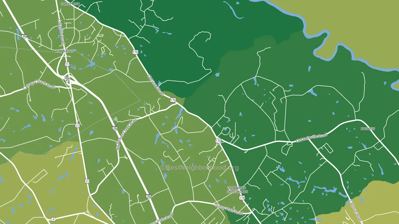 Hammond Crossroads, SC block-group voter-turnout map