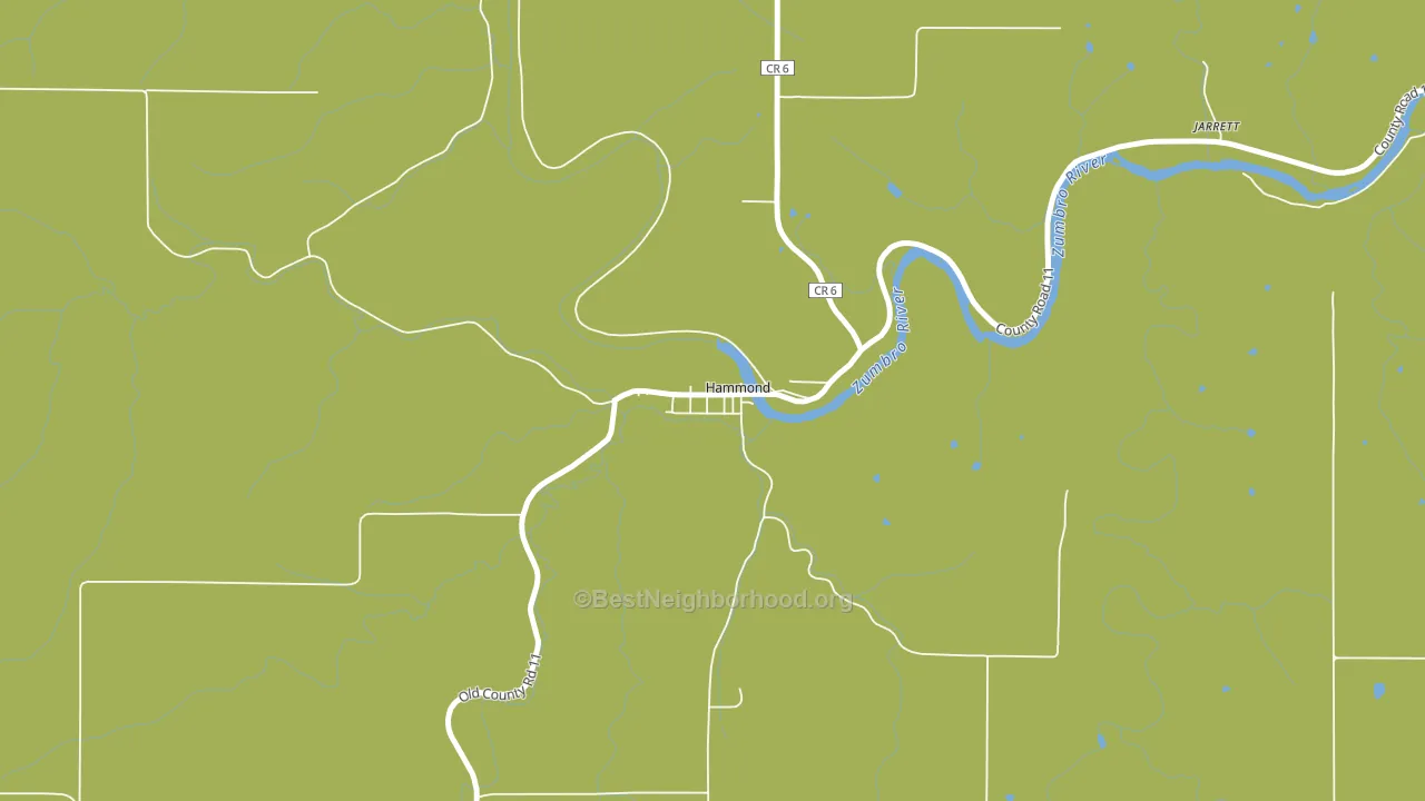 Hammond, MN block-group voter-turnout map
